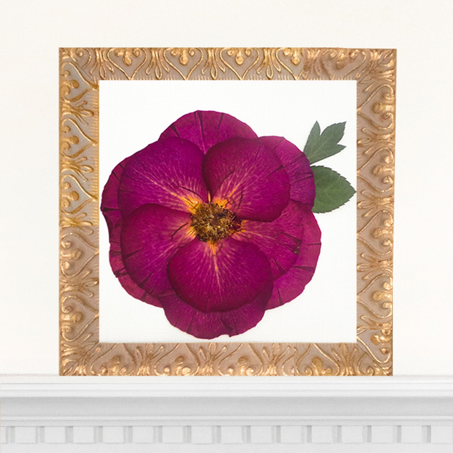 6x6 Frame