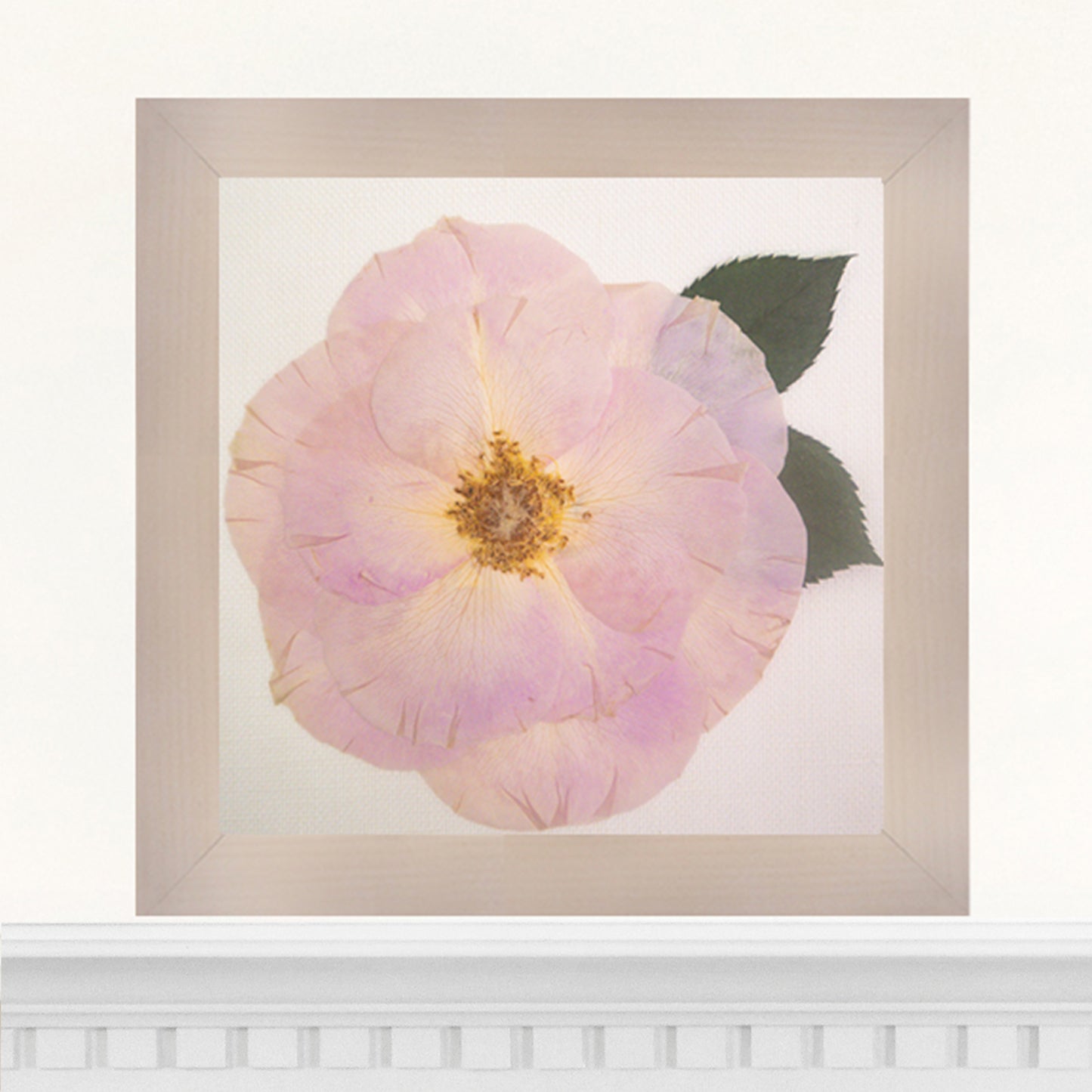 6x6 Frame