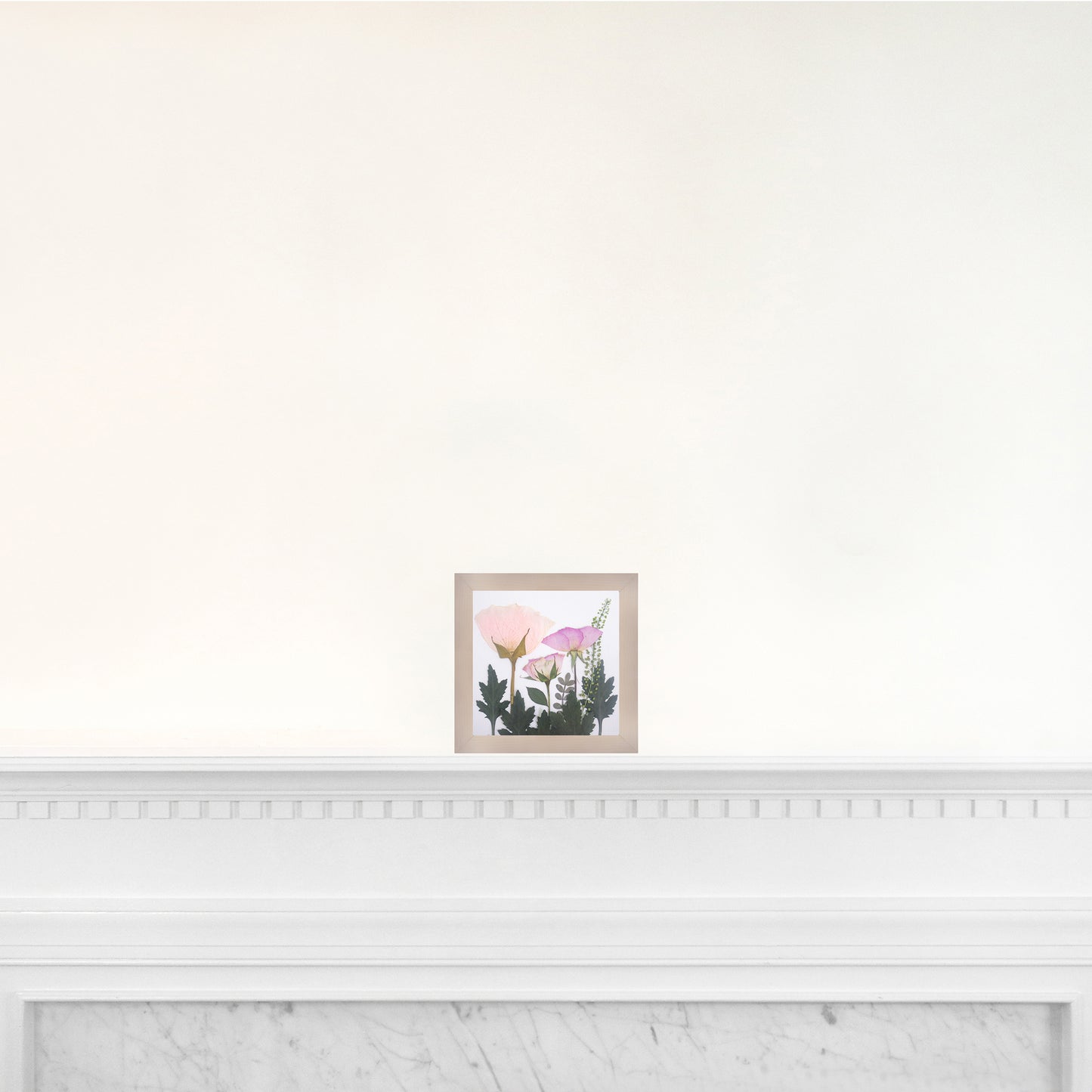 6x6 Frame