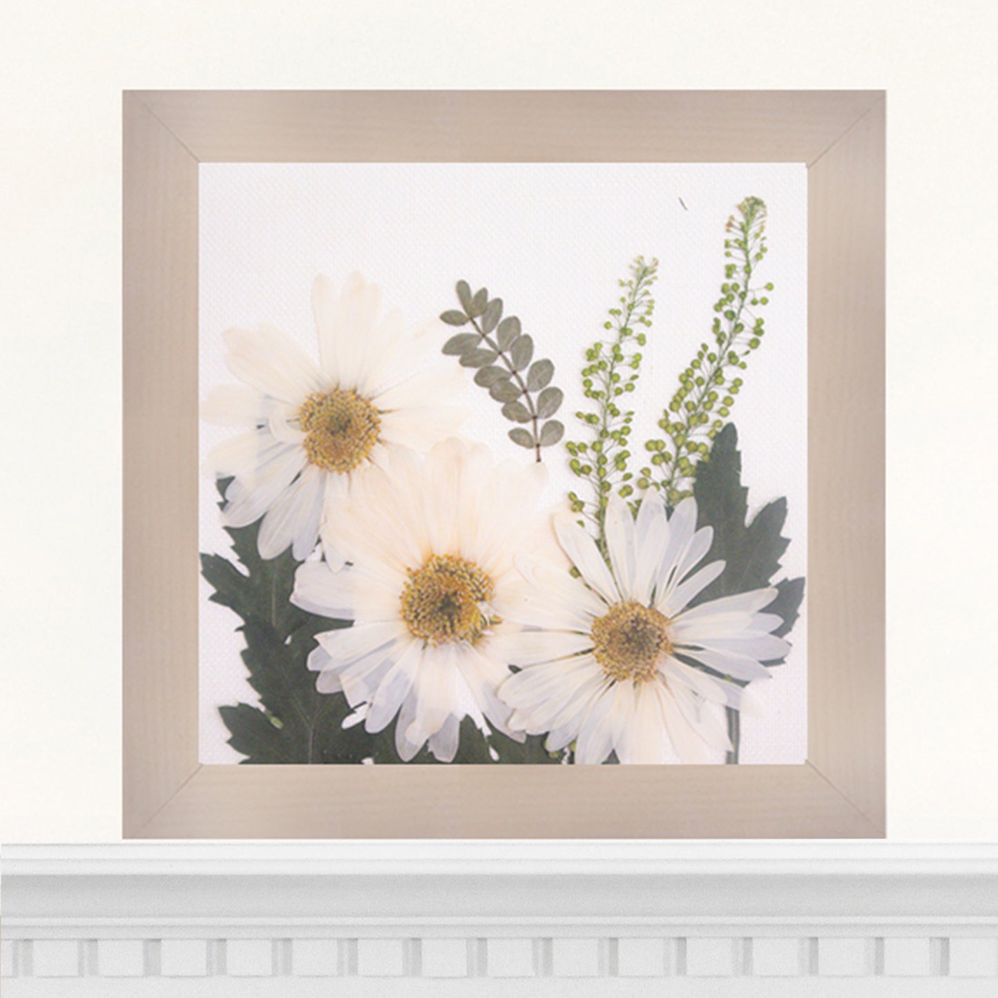 6x6 Frame