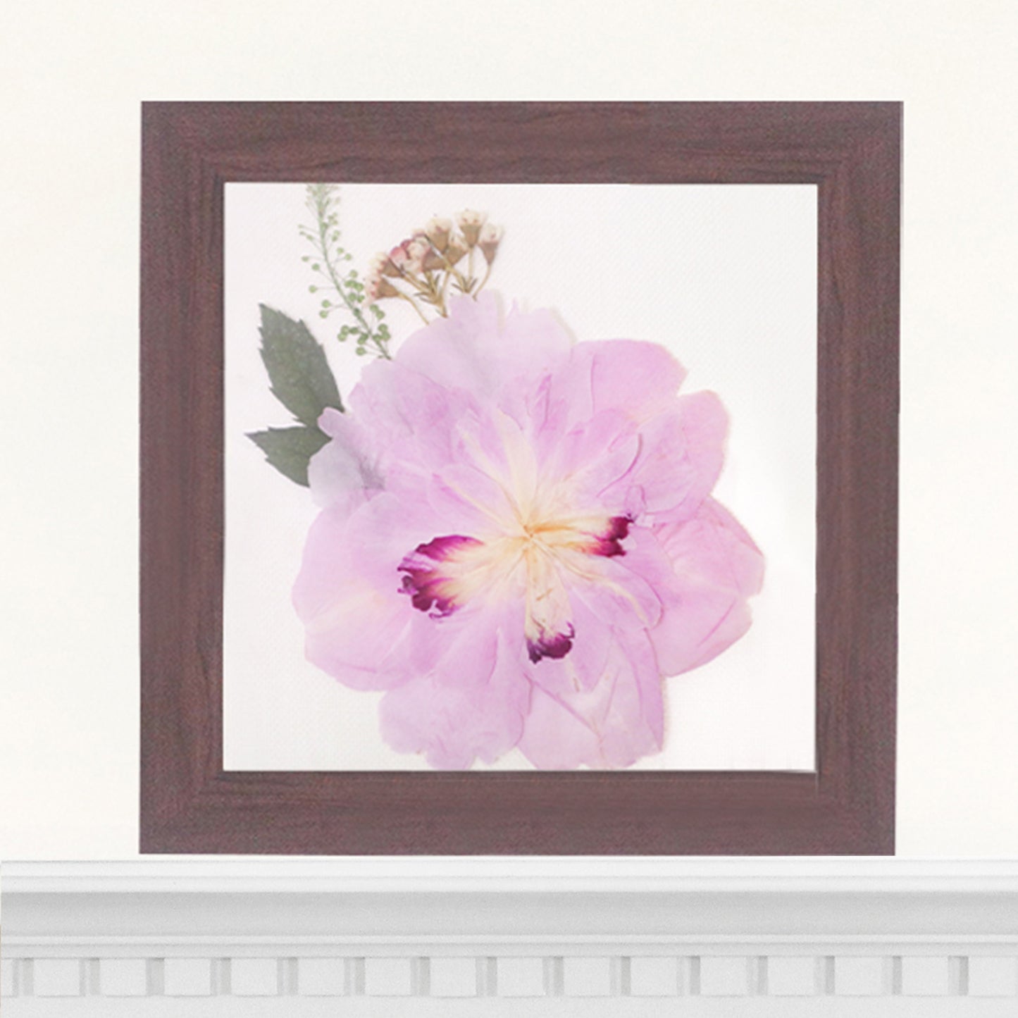 6x6 Frame