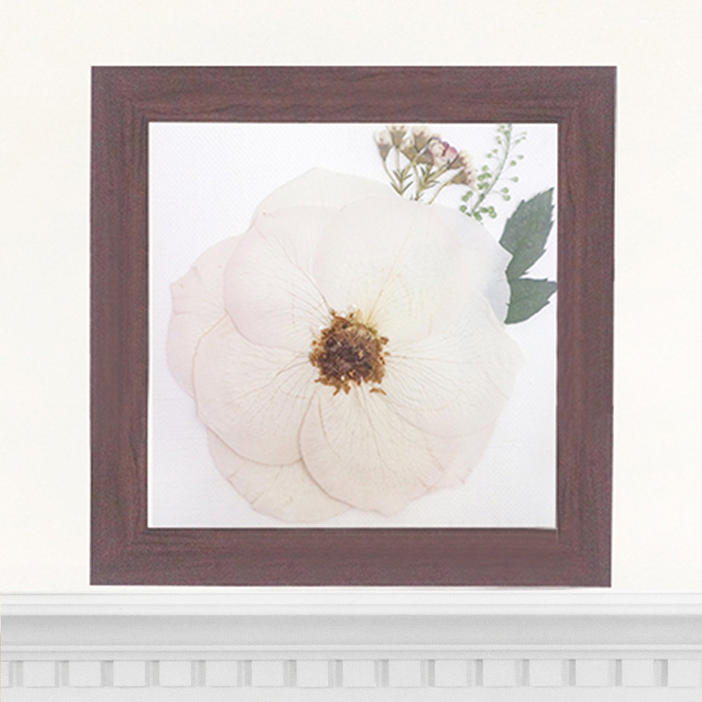 6x6 Frame