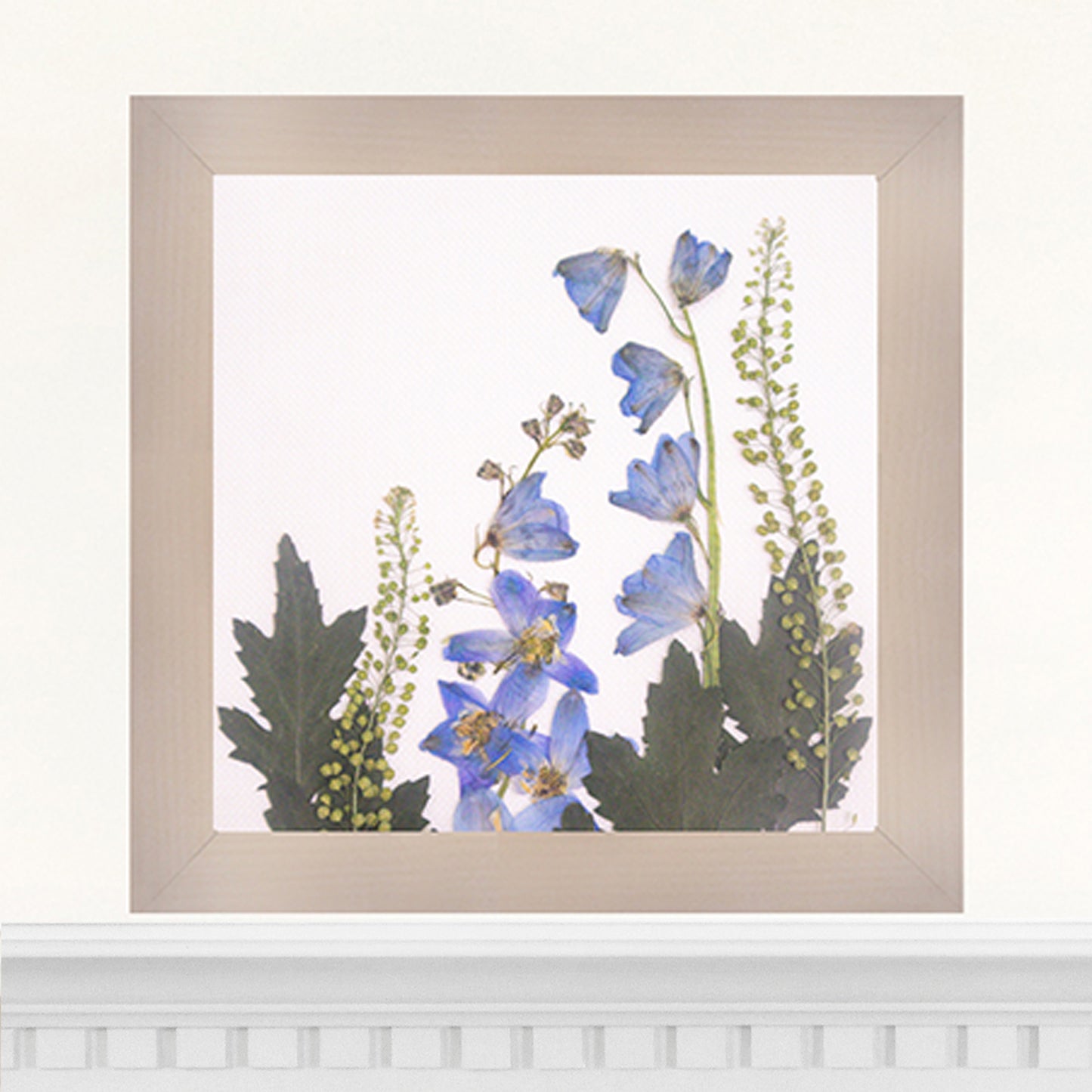 6x6 Frame