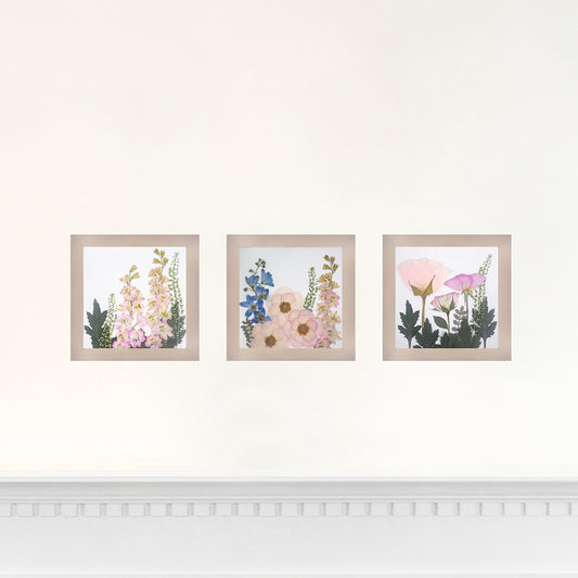 Set of 3 6x6 Frames