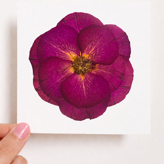 Art Prints and Framed Art Prints