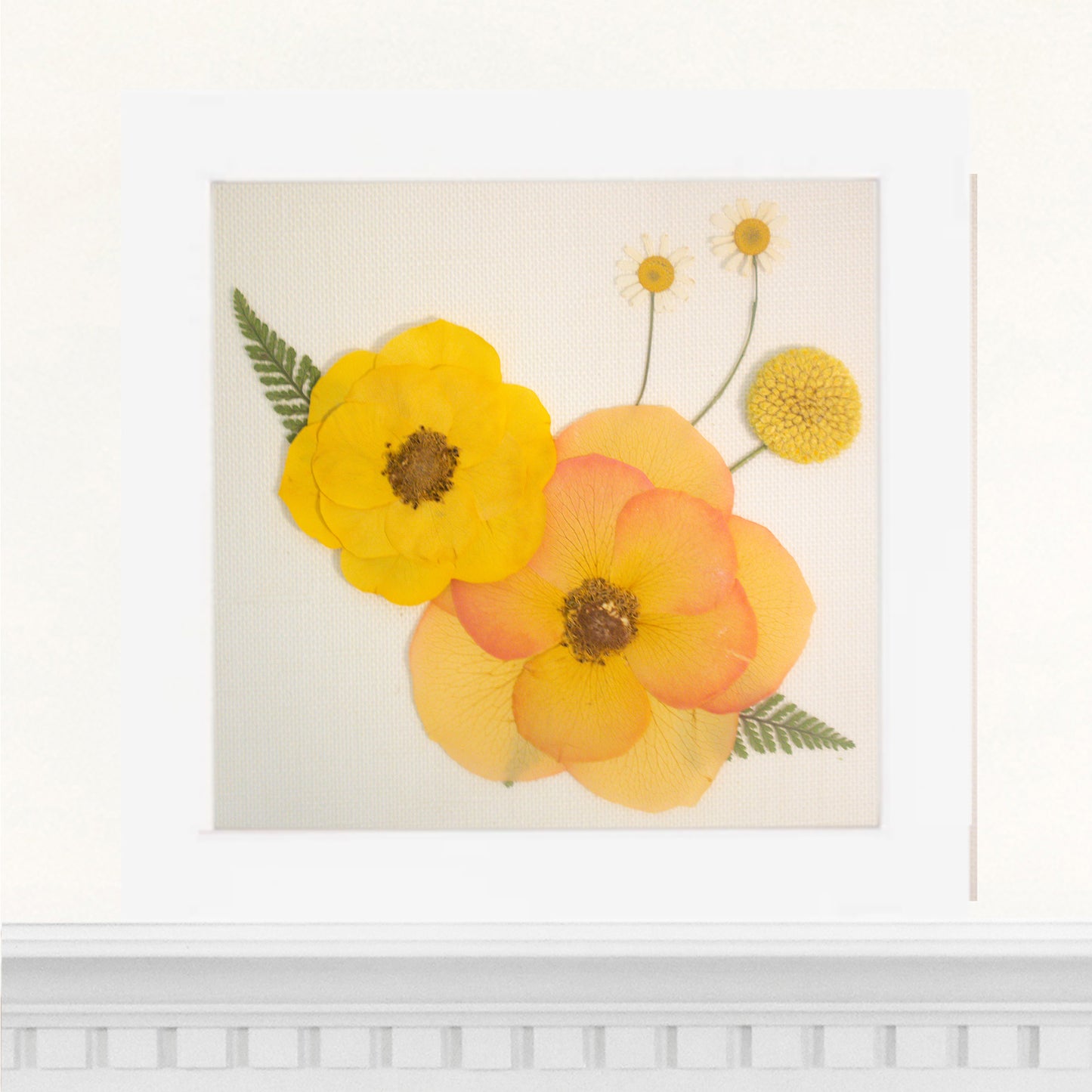6x6 Frame