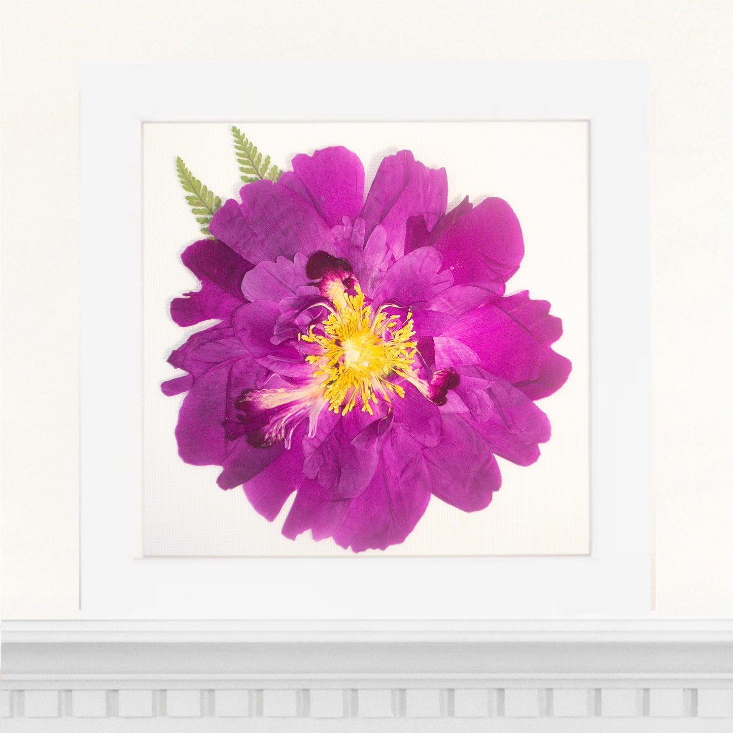 6x6 Frame
