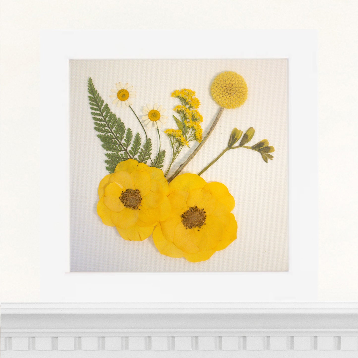 6x6 Frame