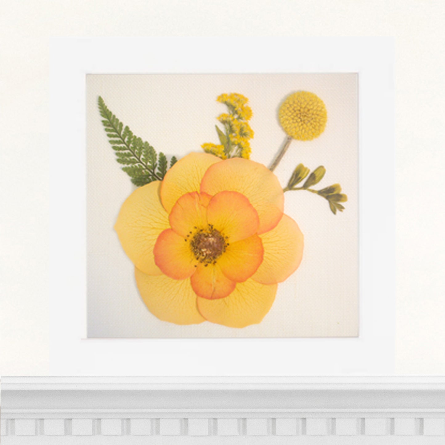 6x6 Frame
