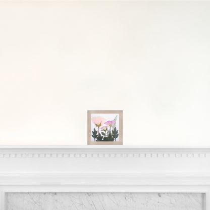 6x6 Frame