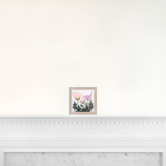 6x6 Frame