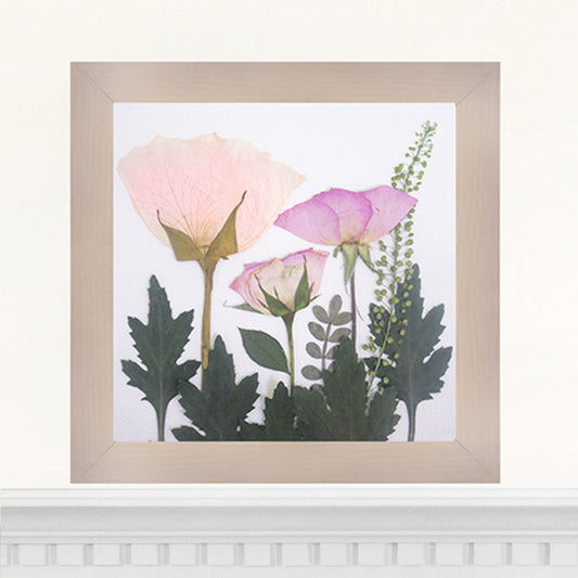 6x6 Frame
