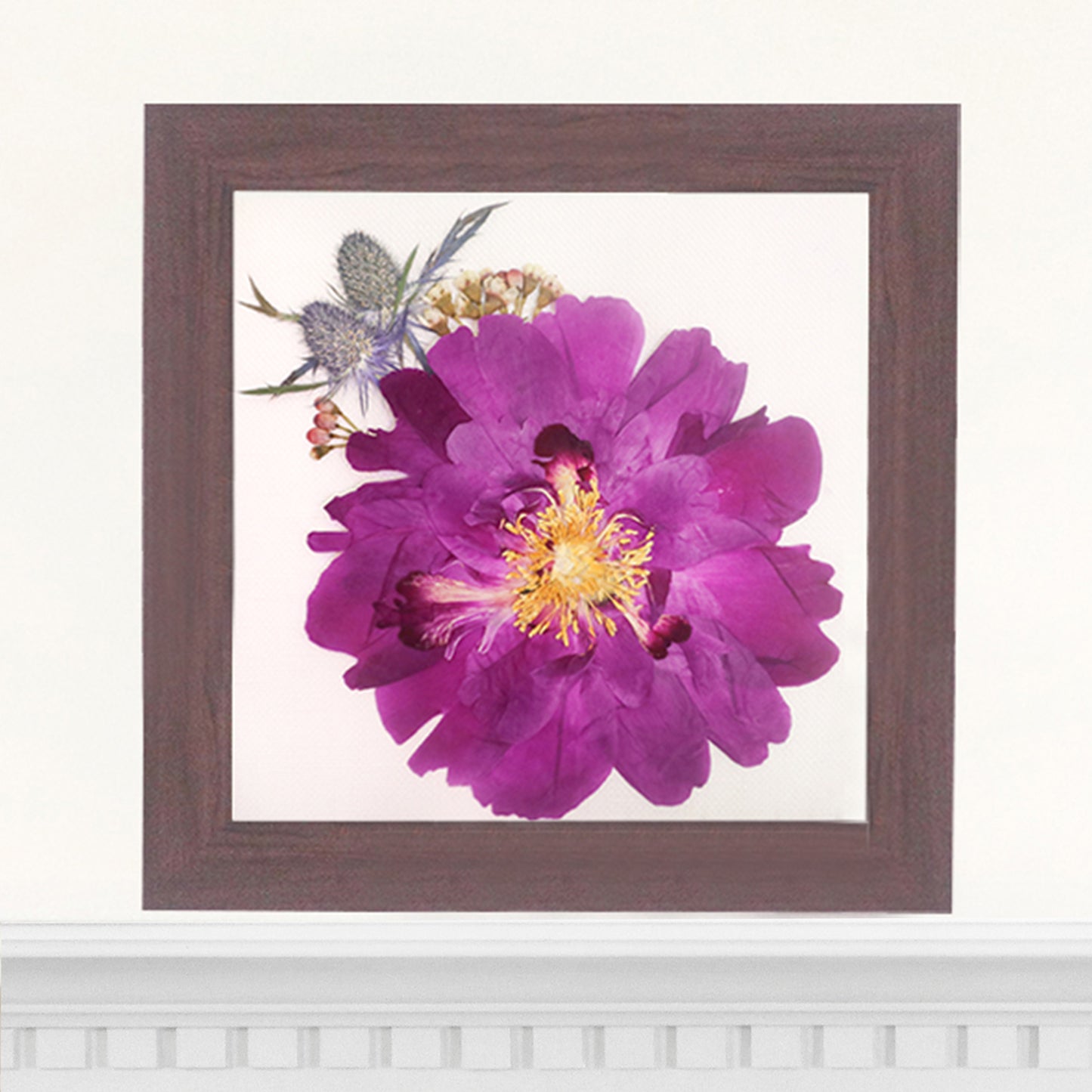 6x6 Frame