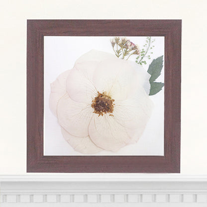 6x6 Frame