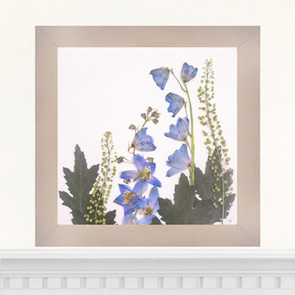 6x6 Frame