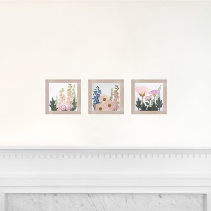 Set of 3 6x6 Frames