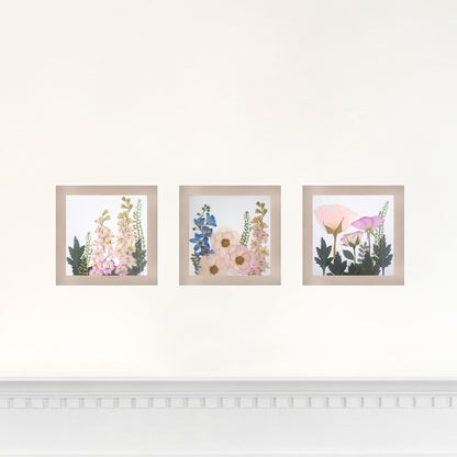 Set of 3 6x6 Frames