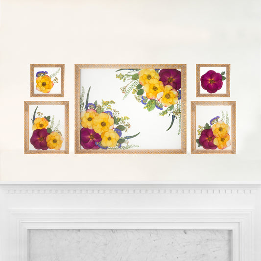 Gallery - Set of one 16x20, two 6x6, two 8x10