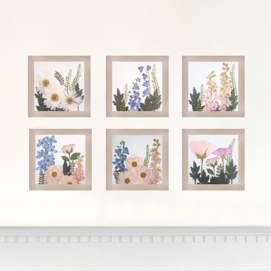 Set of 6 6x6 Frames