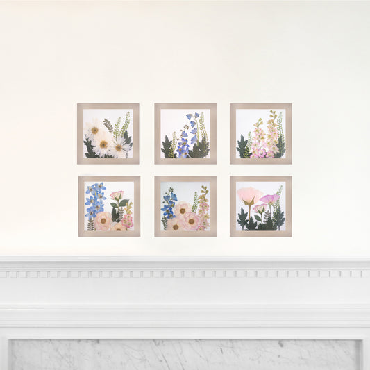 Set of 6 6x6 Frames