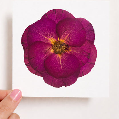 Art Prints and Framed Art Prints