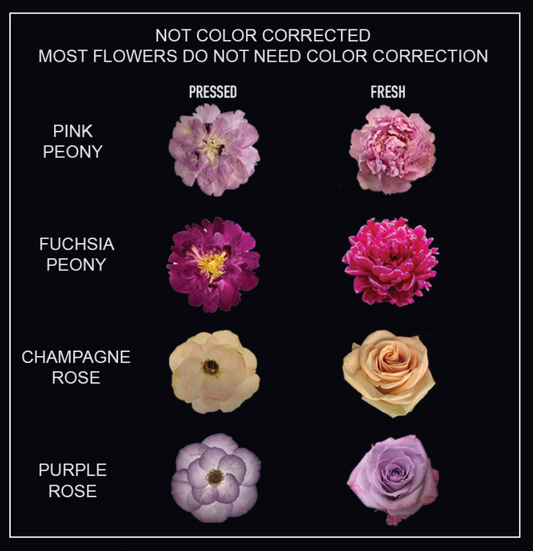 Color Correction